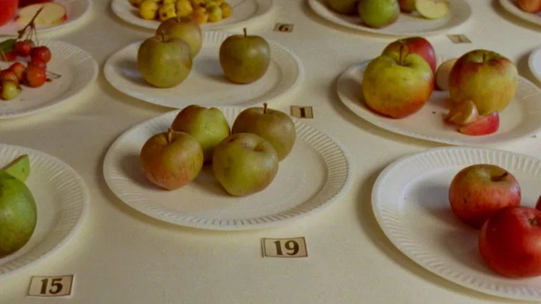 Some Interesting Apples screenshot 1