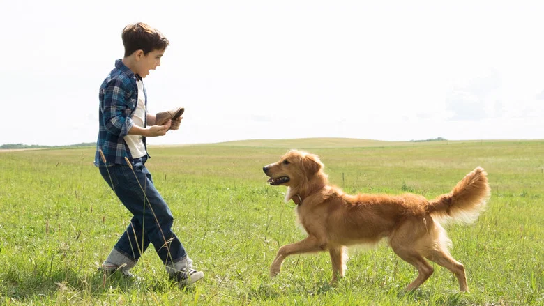 A Dog's Purpose screenshot 1