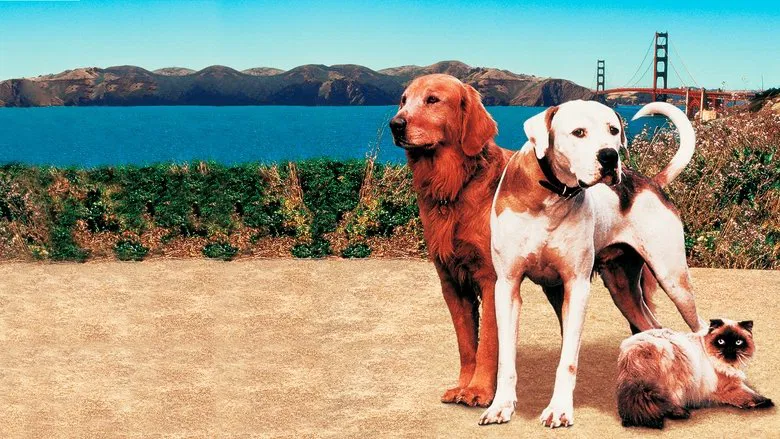 Homeward Bound II: Lost in San Francisco screenshot 1