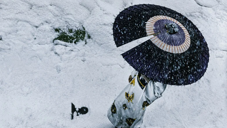 Lady Snowblood screenshot 1