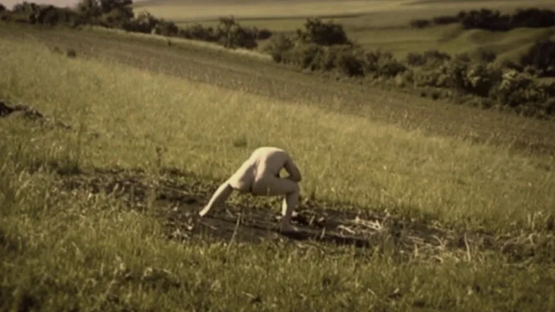 Debris Documentar screenshot 1