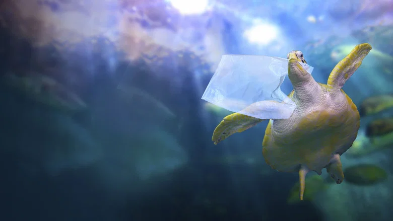 Sea of Plastic screenshot 1