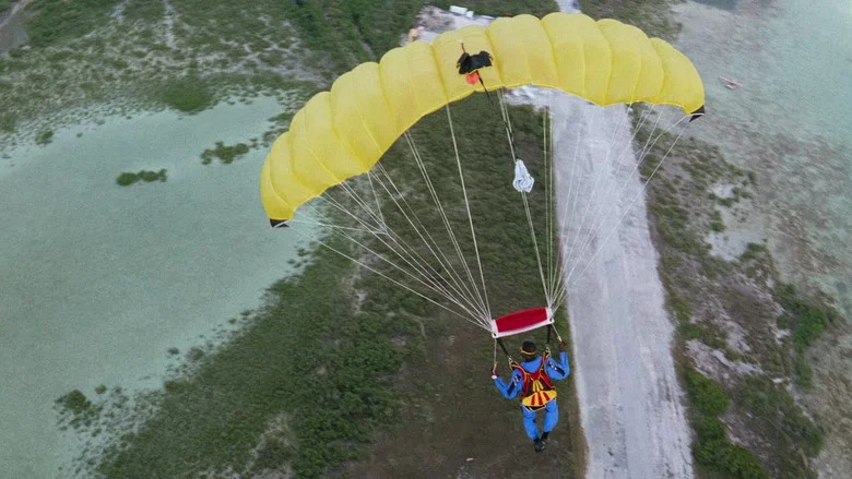 Drop Zone screenshot 3