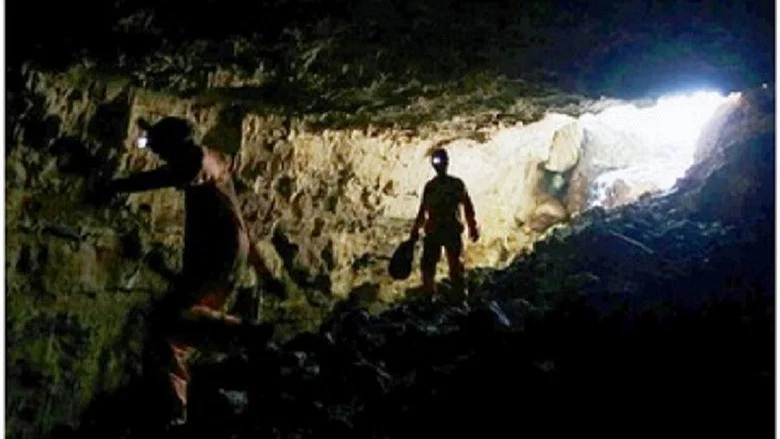 L’aube de l’humanité screenshot 1