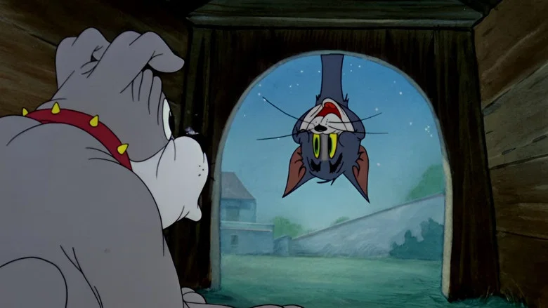 Solid Serenade screenshot 5