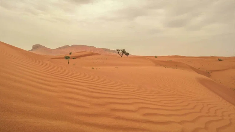 Dubaj, az olajban született oázis screenshot 2