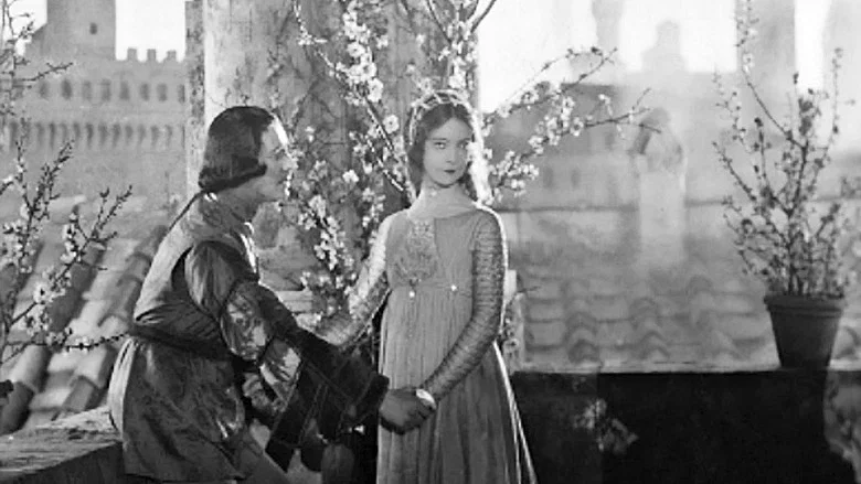 Romola screenshot 5