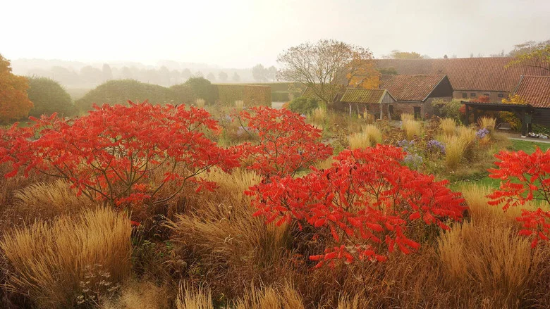 Five Seasons: The Gardens of Piet Oudolf screenshot 6