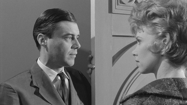 The Servant screenshot 5