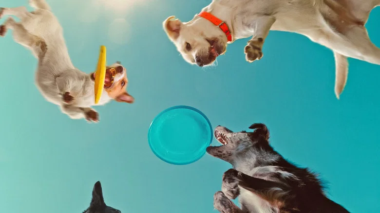 Inside the Mind of a Dog screenshot 1