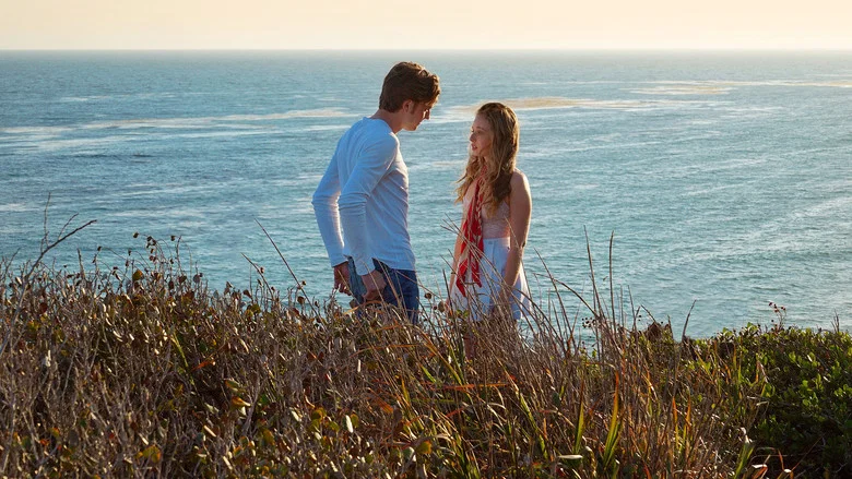 SPF-18 screenshot 2