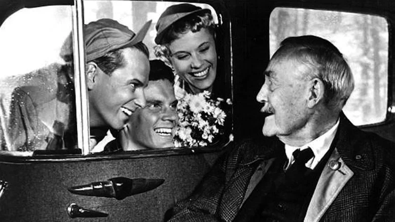 Wild Strawberries screenshot 5
