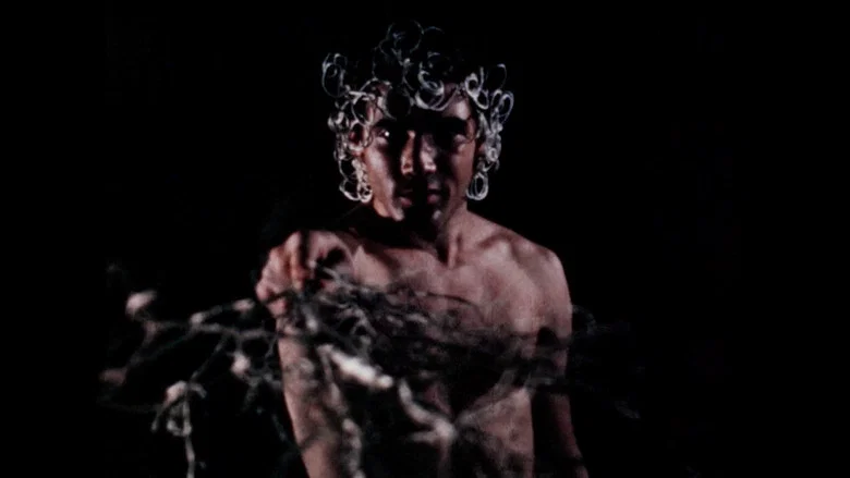 Dionysus screenshot 1