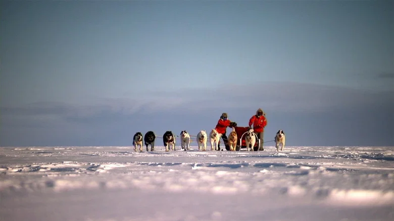 Top Gear: Polar Special screenshot 4
