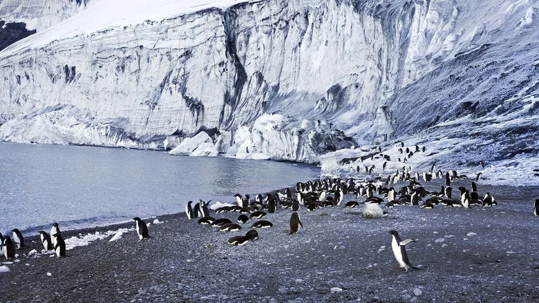 Antarctica: The Frozen Time screenshot 1