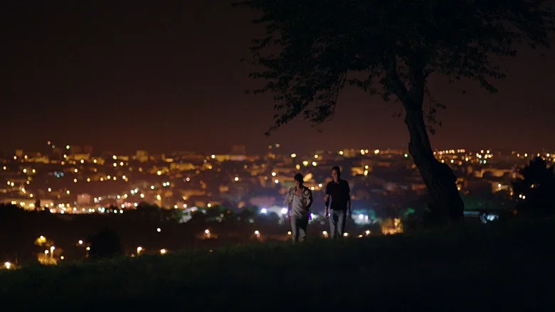 A Night in the Fields screenshot 5