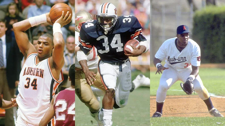 Bo, Barkley and the Big Hurt screenshot 4
