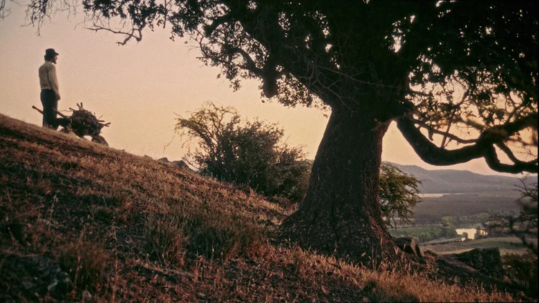 SHORTCUT screenshot 2