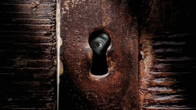 Playing Hide and Seek screenshot 4