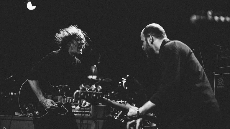 Swans - Primavera Sound 2013 Live screenshot 1
