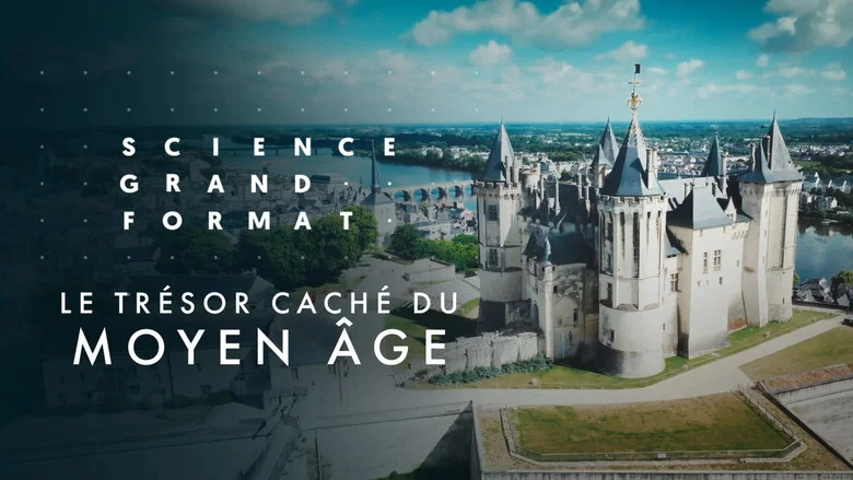 Le trésor caché du Moyen Age screenshot 1