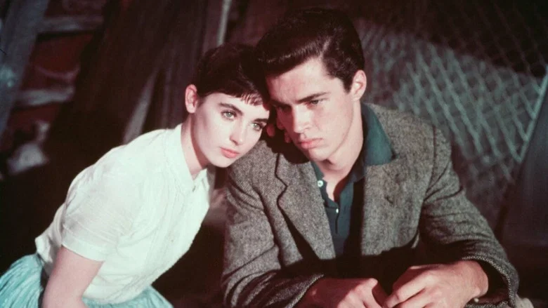 The Diary of Anne Frank screenshot 1