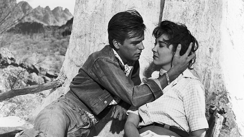 A Kiss Before Dying screenshot 8