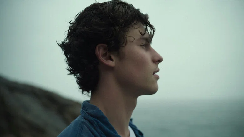 Shawn Mendes: In Wonder screenshot 4