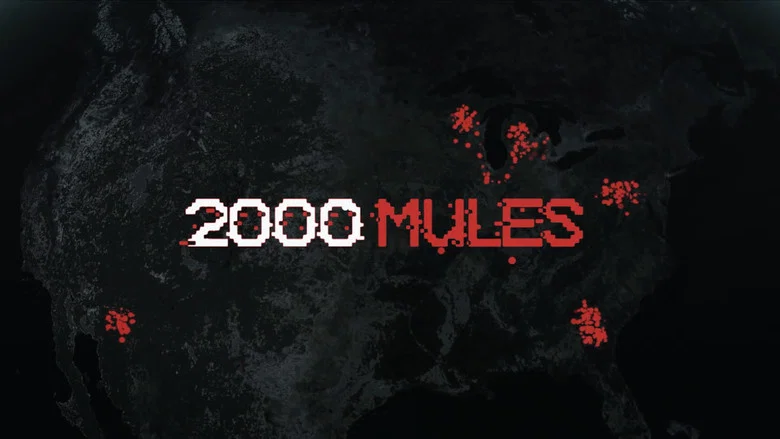 2000 Mules screenshot 4
