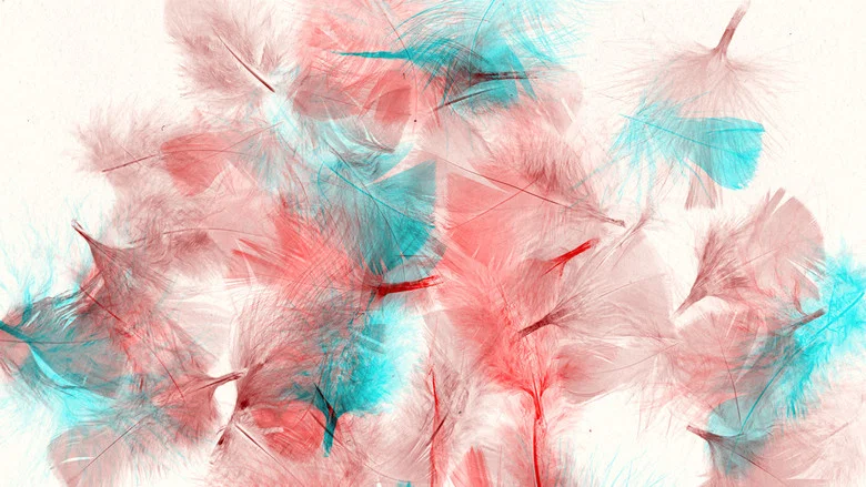 Les oiseaux screenshot 1