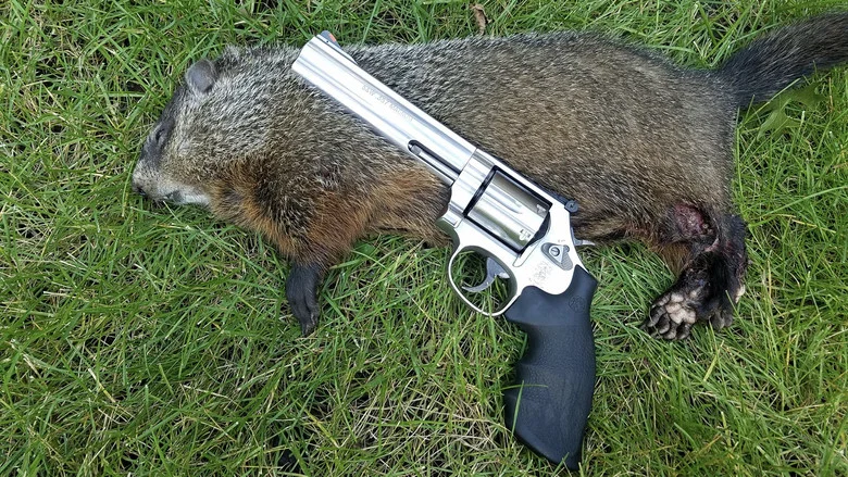 Mr. Groundhog meets Santa Claus screenshot 1