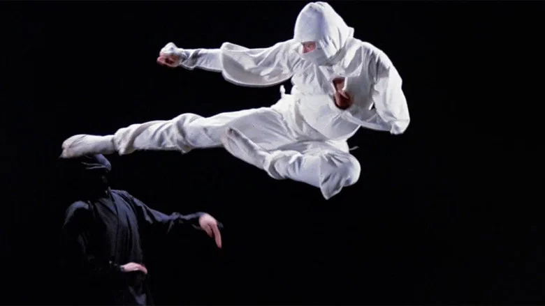Enter the Ninja screenshot 3