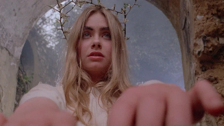 Woodlands Dark and Days Bewitched: A History of Folk Horror screenshot 1
