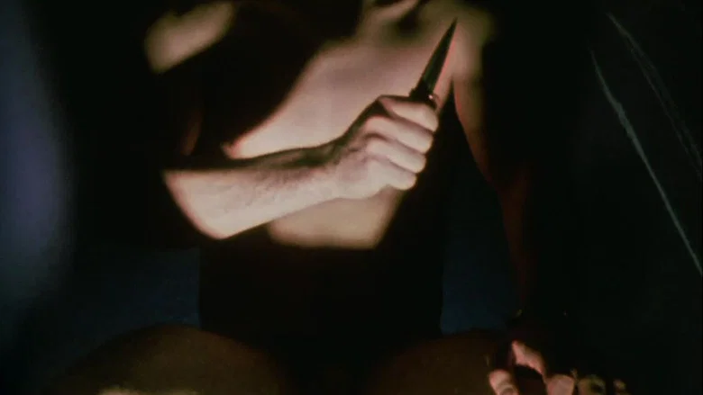 Invocation of My Demon Brother screenshot 4