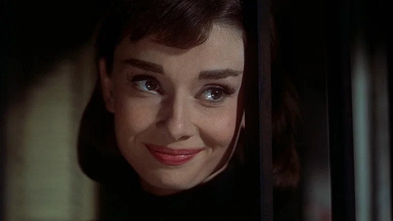 Funny Face screenshot 3