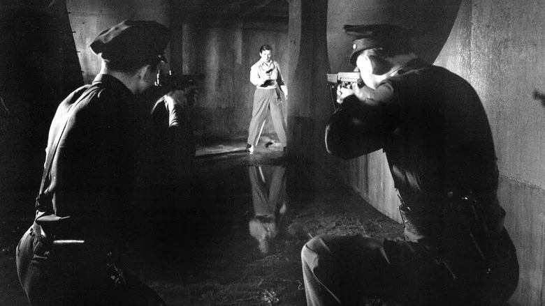 He Walked by Night screenshot 4