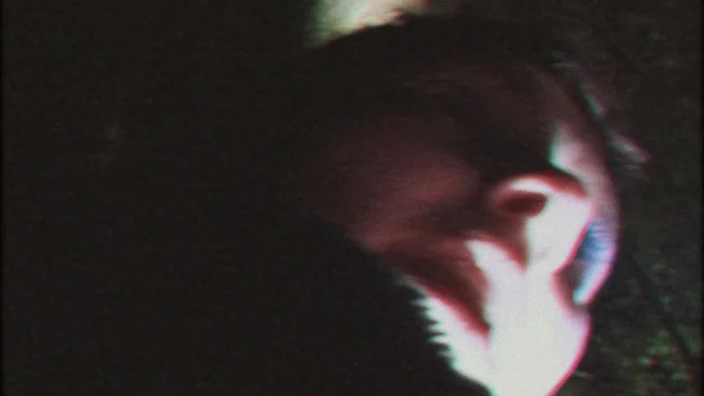 Nachtschwarm screenshot 1