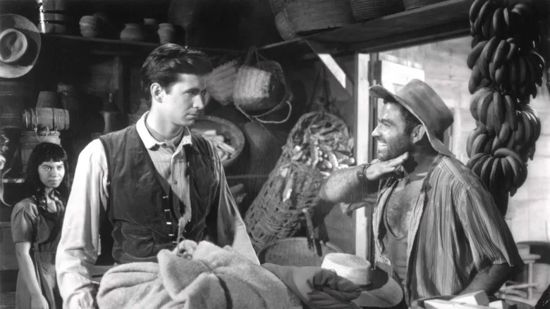 The Lonely Man screenshot 1