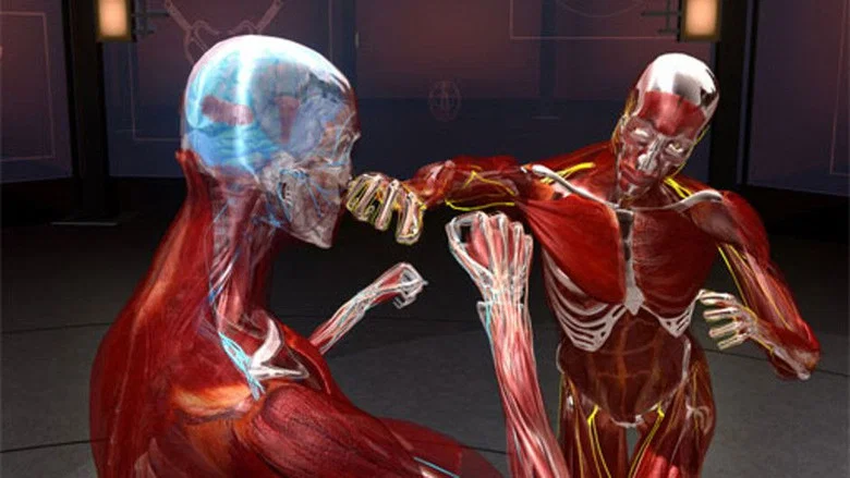 Fight Science screenshot 1