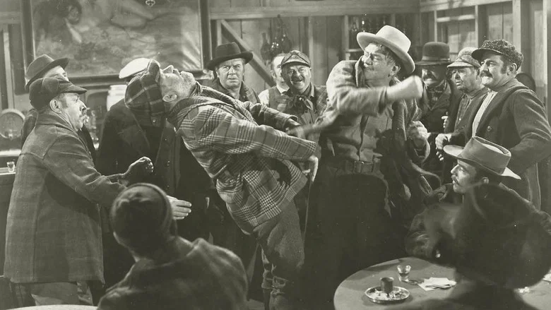 Woman of the North Country screenshot 1