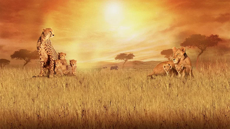 African Cats screenshot 2
