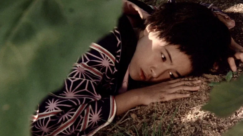 Lullaby of the Earth screenshot 4
