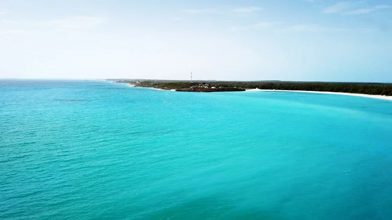 Fyre screenshot 6