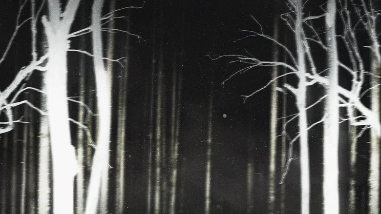 Shelby Oaks screenshot 3