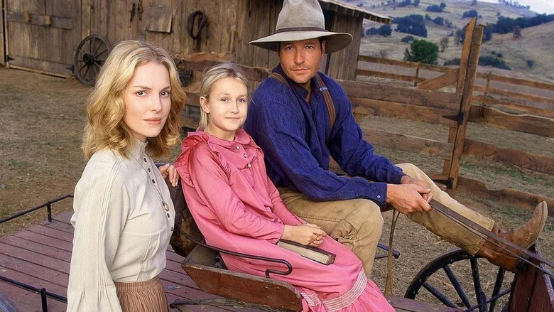 Love Comes Softly screenshot 3