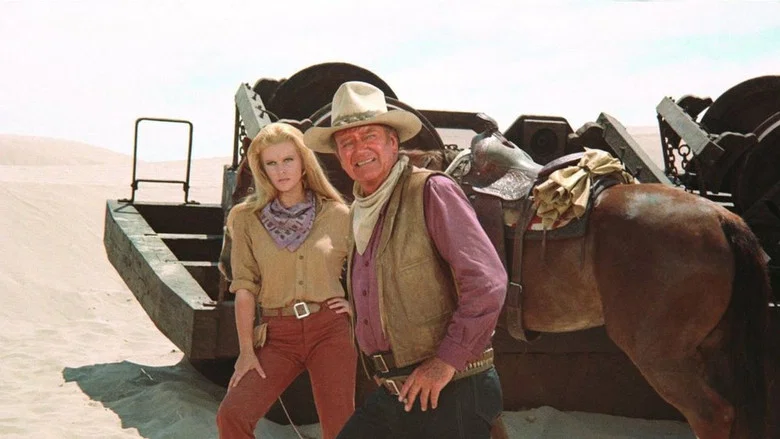 The Train Robbers screenshot 1