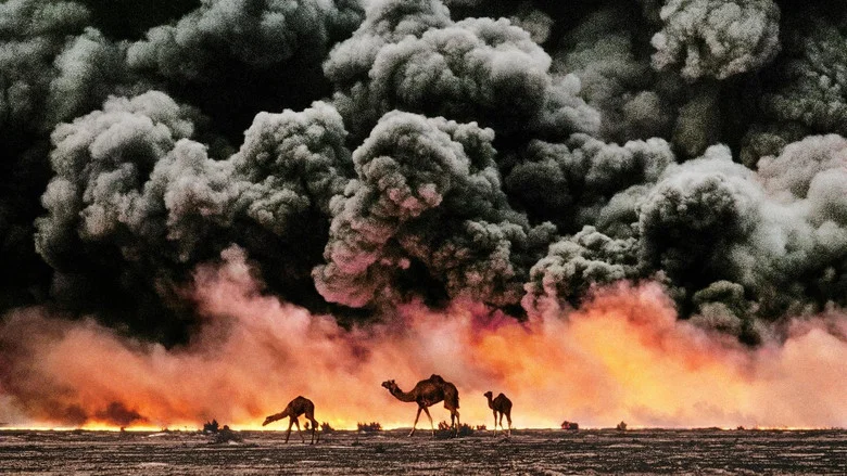 McCurry: The Pursuit of Colour screenshot 2