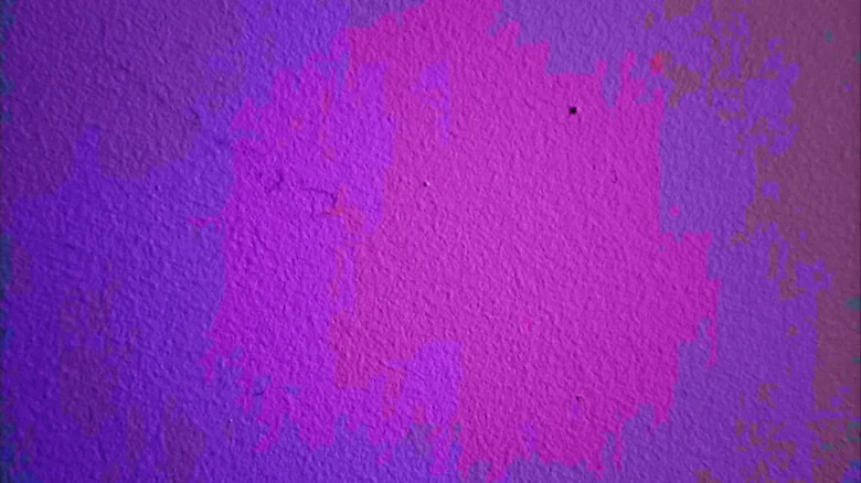 a tiny bug crawls across a wall screenshot 1