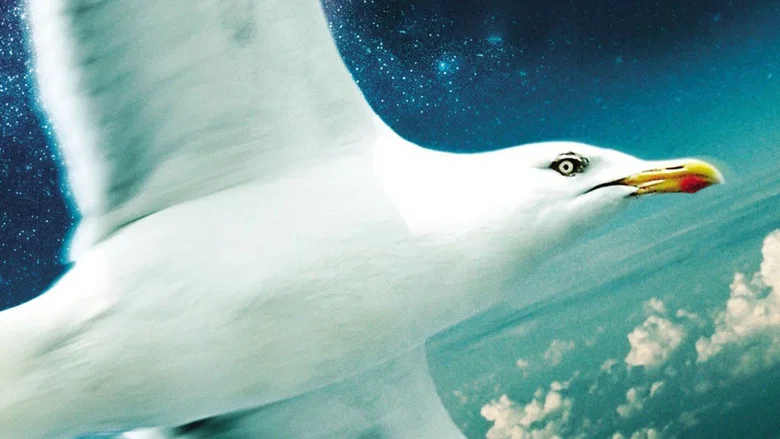 Jonathan Livingston Seagull screenshot 2