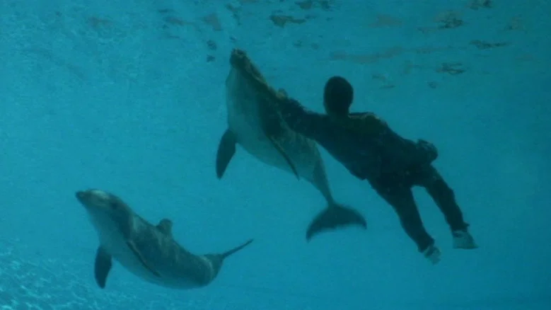 The Big Blue screenshot 6